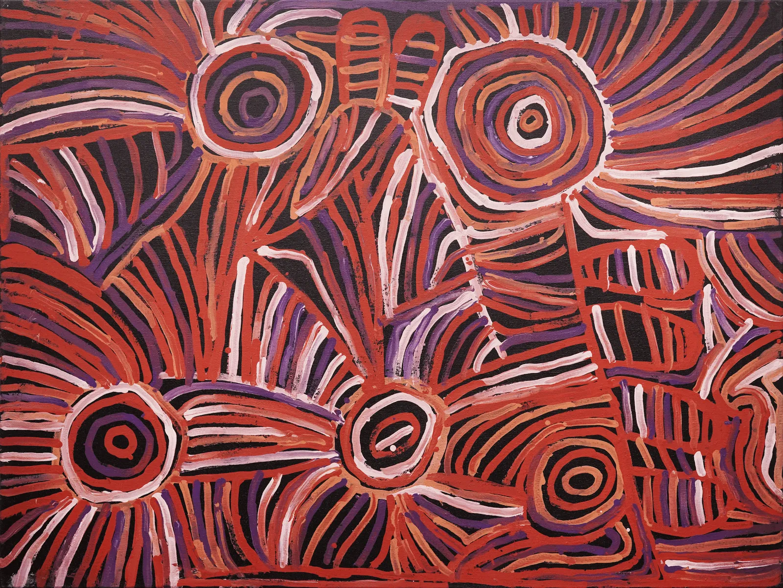 Awelye Atnwengerrp, 1999 by Minnie Pwerle